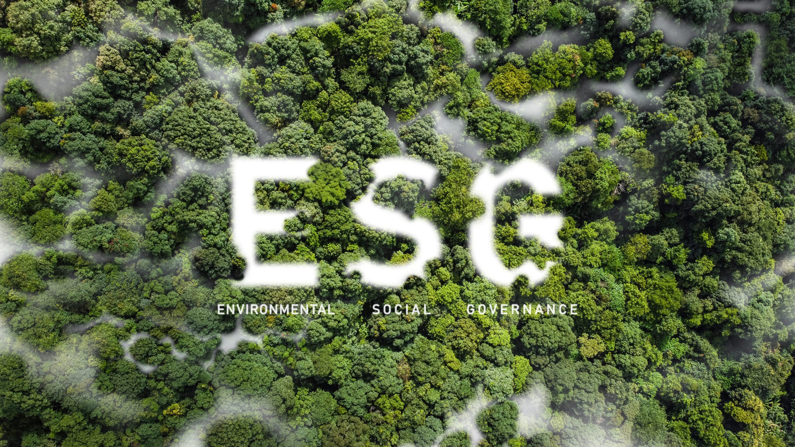 ESG cloud icon green earth concept for Environmental Social Governance